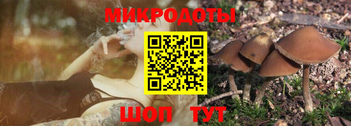 Ростов-на-Дону  Псилоцибиновые грибы MAGIC MUSHROOMS  Вход с VPN 