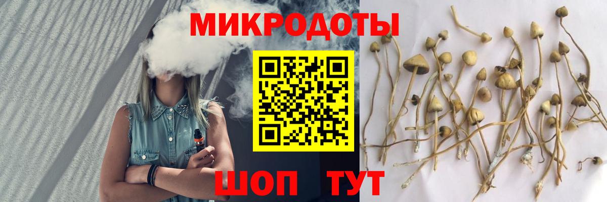 Псилоцибиновые грибы мицелий Ростов-на-Дону